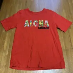 Item thumbnail for item 756d18a3-1aa8-4668-a97e-a1800925ab72