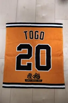 Item thumbnail for item a09108dd-6344-4450-b7c5-a595d4bda862