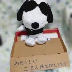 スヌーピー JOECOOL ぬいぐるみ 460cc DR 適応サイズ