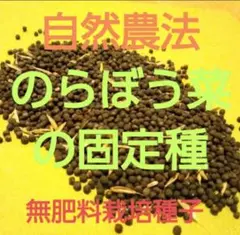 cheeny様 リクエスト 3点 まとめ商品