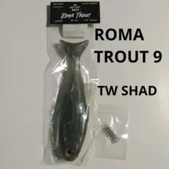 ローマトラウト 9インチ West Coast Baits Roma Trout - メルカリ