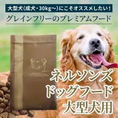 2025年最新】ネルソンズ ドッグフードの人気アイテム - メルカリ