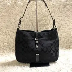 COACH シグネチャー アクセサリーハンドバッグ 6044 黒 - メルカリ