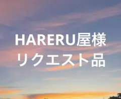 HARERU屋様 リクエスト 2点 まとめ商品