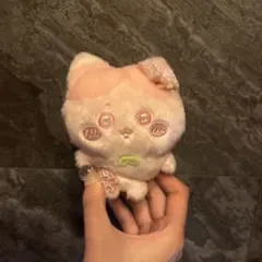 ちいかわ ぬいぱれっと～さくらいろ～マスコット ハチワレ