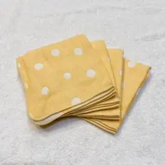 5重織 ガーゼハンカチ タオルハンカチ　日本製 オーガニックコットン 4枚組