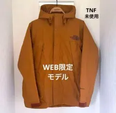 THE NORTH FACE 限定Mountain Light Jacket