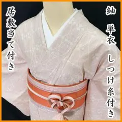 604mt24〇単衣 紬 縞 幾何学 薄グレー〇美品 604mt24〇単衣 紬 縞 幾何学 薄グレー〇美品 - メルカリ