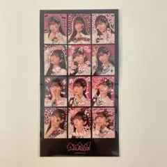 y*a様 月足天音 生誕 プリ風シール FRUITS ZIPPER