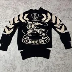 Item thumbnail for item 2549d355-6da5-4579-ab9f-d7ee2e23169d