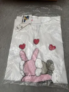 Item thumbnail for item 63a52b6f-acc2-4b72-989c-f0ef39081833