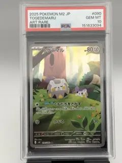 PSA 10 ガチグマアカツキex SAR 091/066 クリムゾンヘイズ - メルカリ