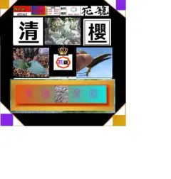 アクアタマゴ様 リクエスト 4点 まとめ商品