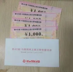 ビックカメラ 株主優待券 4枚