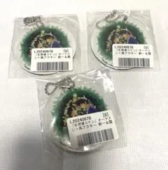 名探偵コナン クリスマス　オーナメント風アクリルキーホルダー　工藤新一＆毛利蘭