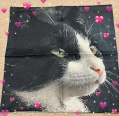 허니컴 캣 쿠션 커버 캣 블랙 인테리어 귀여운 소파