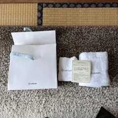 Item thumbnail for item 2652e0fc-0798-446d-b6e8-685eff7b9976