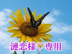 漣恋様❤️おまとめ専用ページです。12/12まで♡