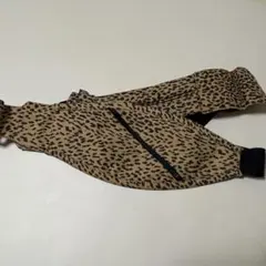 Item thumbnail for item dfe389cb-507d-4be5-8e3d-ebff6a88590e