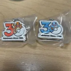 ポケモン　30周年　メタルチャーム　ヒトカゲ　ゼニガメ