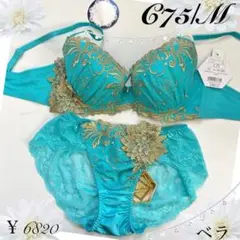 Item thumbnail for item 3b153c11-d6c9-4595-8411-6bdf9e38b345