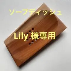 Lily☺︎♪様 リクエスト 2点 まとめ商品