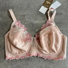 新品　ワコール　ウイングレシアージュ　ブラジャー F70