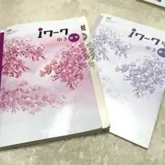 Item thumbnail for item 15f18c84-c362-4528-982e-2624e4dc979d