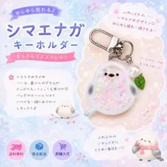 シマエナガシェイカー♡レジンハンドメイドシャカシャカキーホルダーのサムネイル