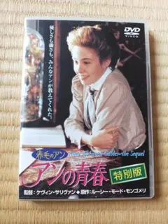美品 赤毛のアン アンの青春 特別版 DVD 日本語吹替あり 正規品