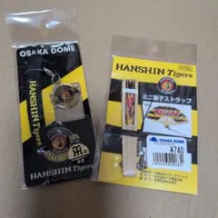 HANSIN Tigers OSAKA DOME ストラップセット