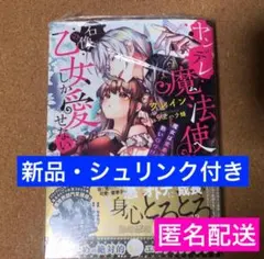 新品★ヤンデレ魔法使いは石像の乙女しか愛せない 魔女は愛弟子の熱い口づけでとけるのサムネイル