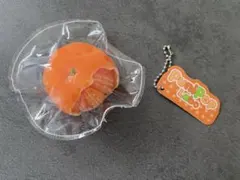 punipoplabo プニポップラボ みかん 乾燥チーズ M スクイーズ