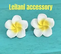 Item thumbnail for item edf03516-09b1-45c7-b2e0-790a02f51249