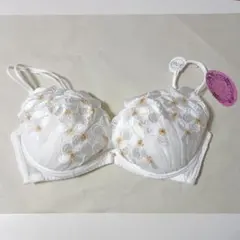 白ホワイト　ブラジャー　F70　新品未使用