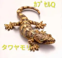 mih様 リクエスト 3点 まとめ商品