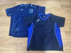 asics・DESCENTEバレーボールピステ　レディースＭ