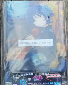 一番くじ ぼっち・ざ・ろっく！ VOLUME4 G賞 山田リョウ アクリルボード