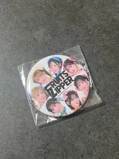 FRUITS ZIPPER カプセルトイ　缶バッジ