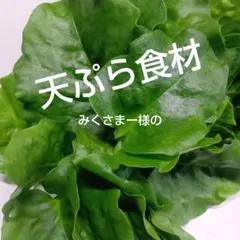 みくさまー様の天ぷらのお野菜