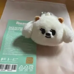 TXT PPULBATU ポップアップ バムグッ　フェイスキーリング