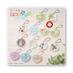 本日発送可能！ちいかわ きゃらシャカ☆チャームグミ くりまんじゅう①