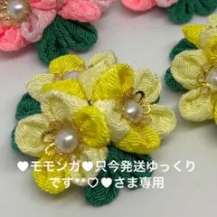 ♥モモンガ♥只今発送ゆっくりです**♡♥様専用