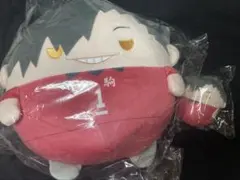 ハイキュー 黒尾　ぬいくじ2 B賞 ふわコロりん BIG ハイキュー 黒尾 ぬいくじ2 B賞 ふわコロりん BIG - メルカリ