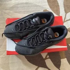 NIKE ナイキ スニーカー ウィメンズ エア マックス DN