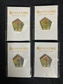 嵐　ワクワク学校　ピンバッジ　4点セット