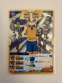 菜花 黄名子 イナズマイレブンGO TCG 時空最強イレブン - メルカリ