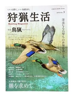 Item thumbnail for item 2d4ec7e1-56c9-4178-90d2-c8a6989ca71b