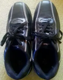 Item thumbnail for item 30bf683b-5750-4315-8925-7dbea29c461e