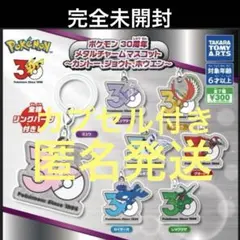 ポケモン 30周年 メタルチャームマスコット 全7種コンプリート - メルカリ